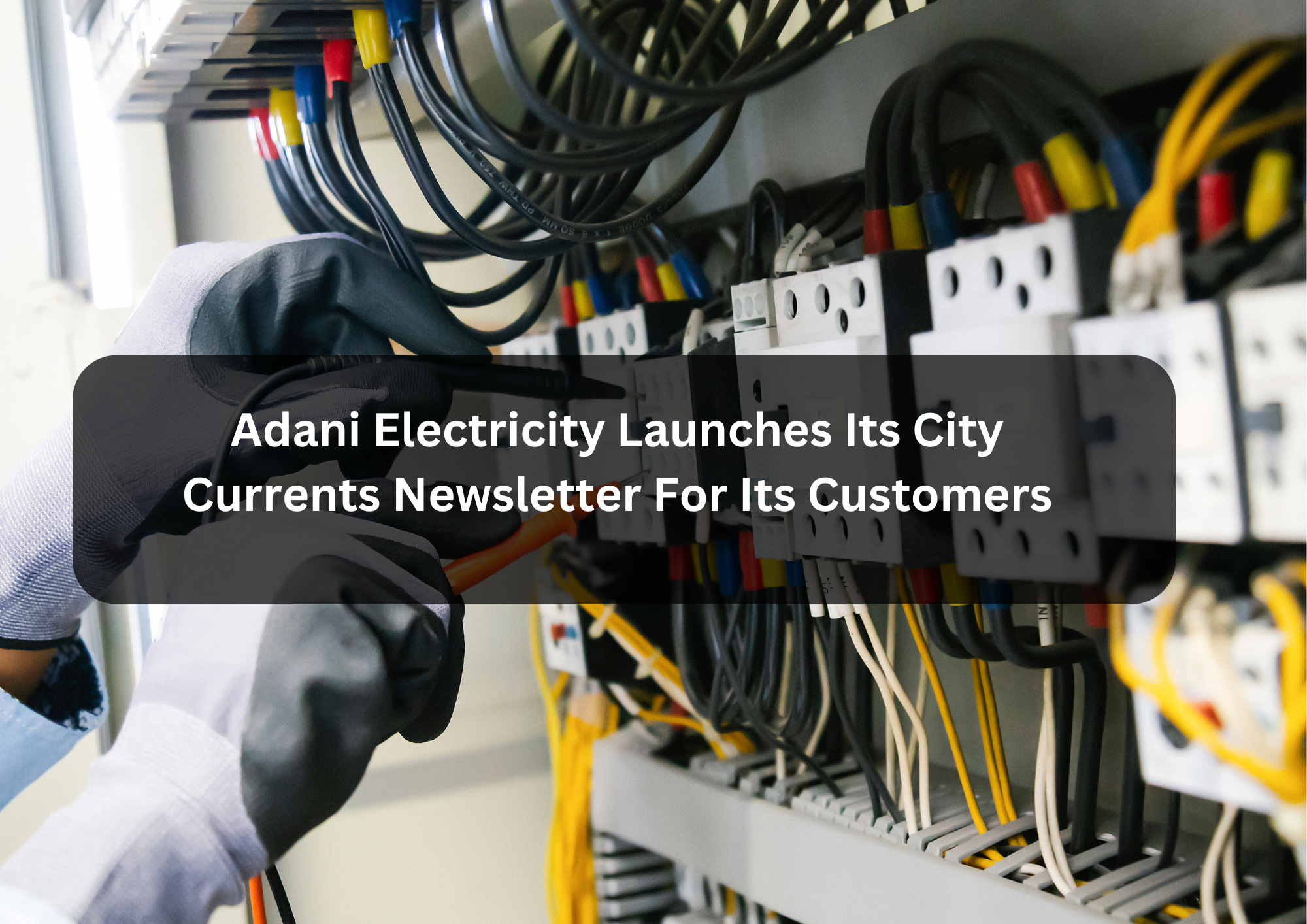 Adani Case